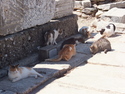 Ephesus