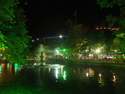 Famous fish pond at night