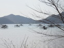 Fish cages