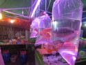 Fish in kuching sunday market