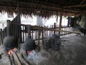 Flores moonshine operation