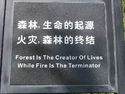 Forest is the creator of lives while fire is the terminator
