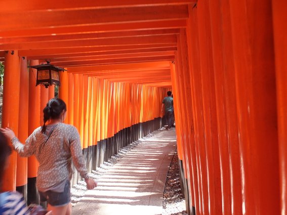 Fushimi Inari gates