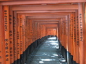 Fushimi inari gates