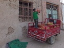 Girl hoisting grapes to be dried