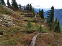 Glacier