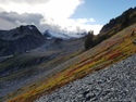 Glacier