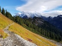 Glacier