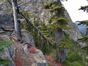 Glacier