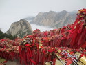 Golden locks atop huashan