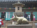 Golden warthog