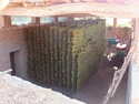 Grapes drying in someones house