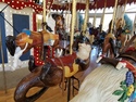 Great northern carousel otter