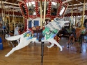 Great northern carousel wolf