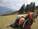 Guide on his phone getting snuck up on by goats