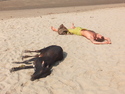 Guy and cow sunbathing