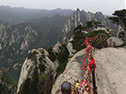Haushan cropped web