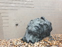 Head at nanjing massacre museum