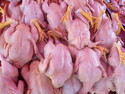 Headless chicken in inle market