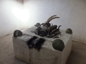 Important muslim tomb