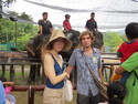 Junko and i with elephants