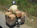Lots of fish on one motorbike