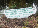 Love nature