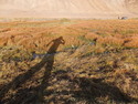Me and my shadow