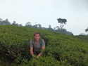 Me in tea fields