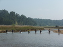 Men fishing the river with nets