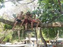 Miguel vina and i sitting in a tree