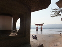 Miyajima gate