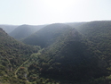 Montfort from afar