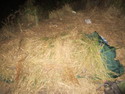 This is my den made of tall grass and my rain poncho that kept me warm enough to survive on Mt. Rinjani.