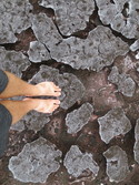 My fee over rocks