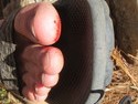 My foot after walking through some switchgrass
