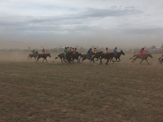 Naadam horse race