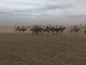 Naadam horse racing