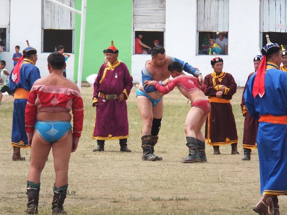Naadam wrestling