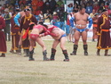 Naadam wrestling