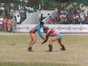 Naadam wrestling