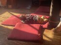 Napping in a sunbeam