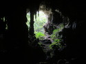 Niah cave by paintings