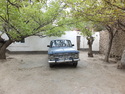 Nice car under trees in tiny tiny village