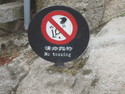 No tossing