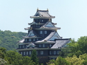 Okayama castle from afar