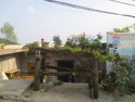 Old log planter with bonsai