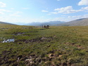 Our guide and some horses on top of a mountain