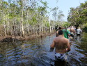 Our jungle trek