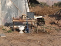 Outside the greenhouse at samar